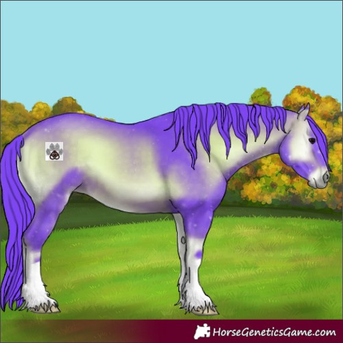 Horse Color:Watercolor Chocolate Brown Onyx