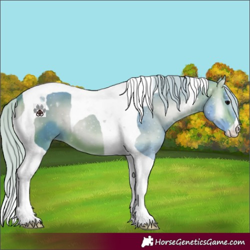 Horse Color:Watercolor Silver Bay Onyx Tobiano 