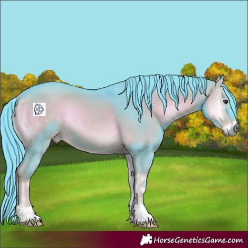 Horse Color:Watercolor Liver Red Onyx 