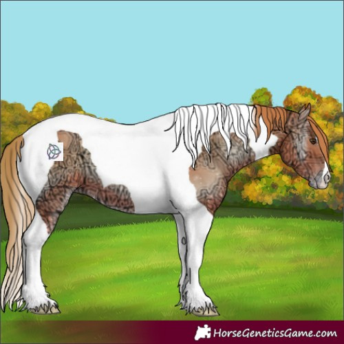 Horse Color:Watercolor Gold Champagne Ice Onyx Tobiano