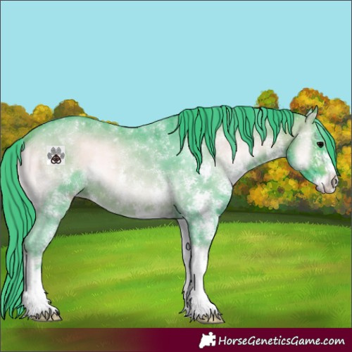 Horse Color:Watercolor White Spotted Brown Onyx 