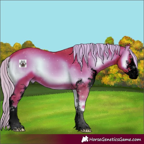 Horse Color:Void Watercolor Liver Red Onyx Sabino
