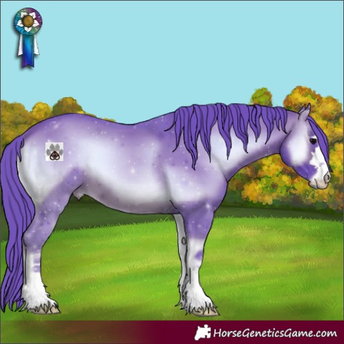 Horse Color:Watercolor Brown Onyx 