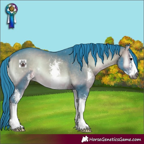 Horse Color:Gray Watercolor Brown Onyx Sabino 