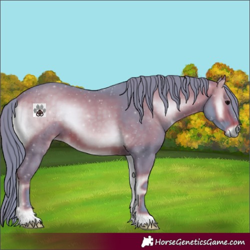 Horse Color:Watercolor Brown Onyx