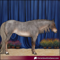 Horse Color:Liver Red Roan