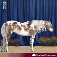 Horse Color:White Spotted Silver Brown Dun Tobiano Brindle