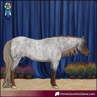 Horse Color:Liver Red Roan 