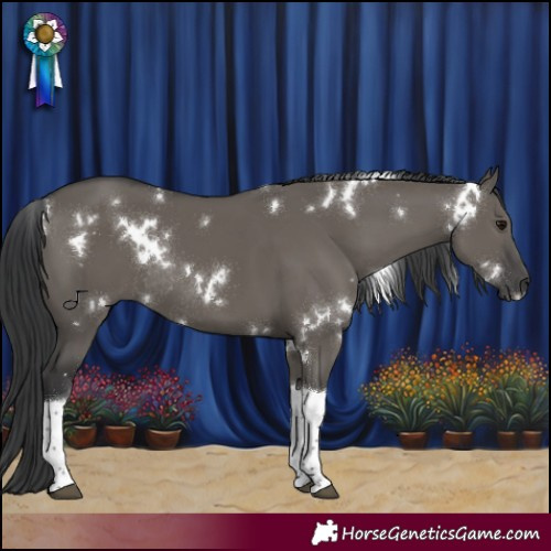 Horse Color:White Spotted Grullo Tobiano Rabicano