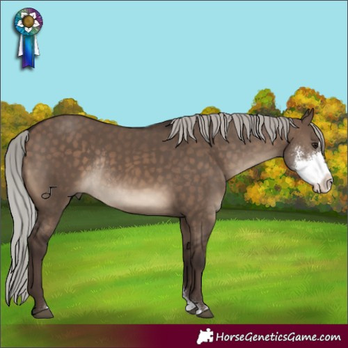 Horse Color:Silver Brown Dun Sabino Rabicano