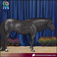 Horse Color:Smoky Black Rabicano