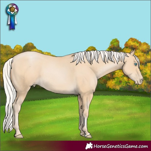 Horse Color:Silver Smoky Black Pearl Rabicano 