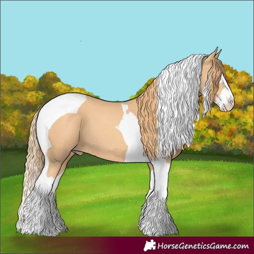 Horse Color:Gold Champagne Splash Tobiano 