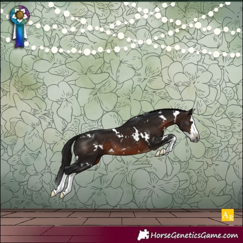 Horse Color:Gray White Spotted Bay Splash
