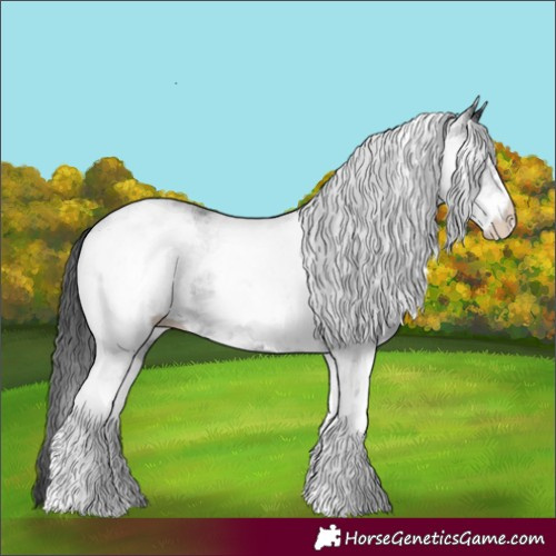 Horse Color:White Spotted Black 