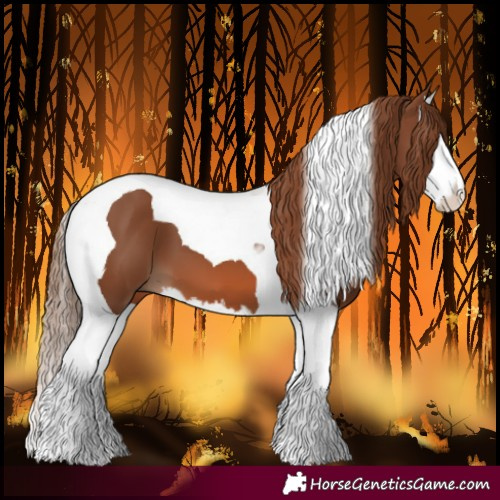 Horse Color:Chestnut Splash Tobiano