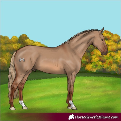 Horse Color:Red Dun 