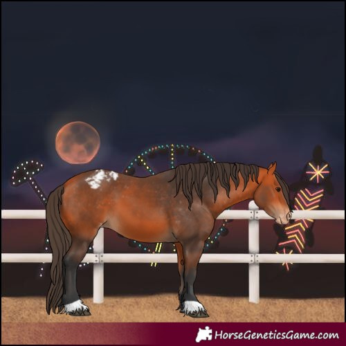 Horse Color:Bay Varnish 