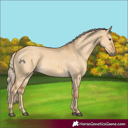 Horse Color:Palomino Dun