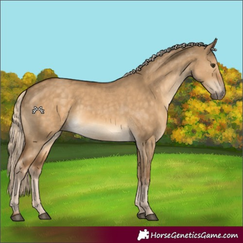 Horse Color:Chocolate Palomino Dun 