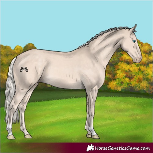Horse Color:Cremello 