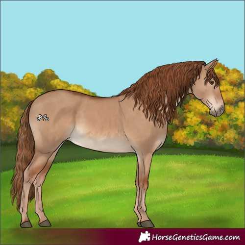 Horse Color:Red Dun 