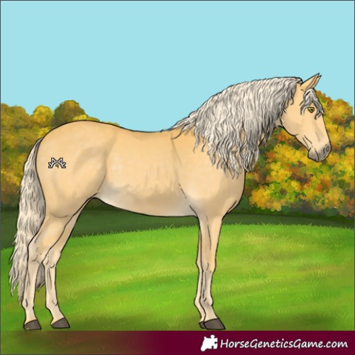 Horse Color:Palomino