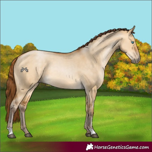 Horse Color:Gray Buckskin Snowdrop Dun 