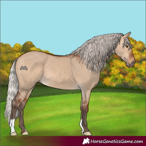 Horse Color:Silver Bay Dun 