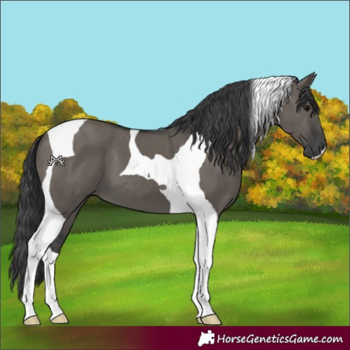 Horse Color:Grullo Tobiano