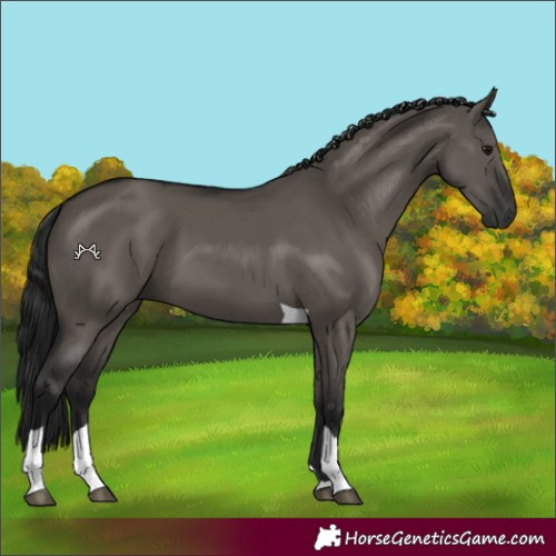 Horse Color:Gray Grullo Tobiano