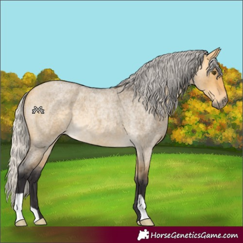 Horse Color:Silver Buckskin Roan Dun 