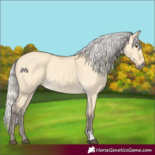 Horse Color:Silver Buckskin Dun 