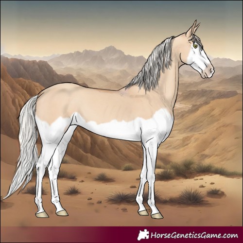 Horse Color:Silver Classic Champagne Dun Splash Frame 