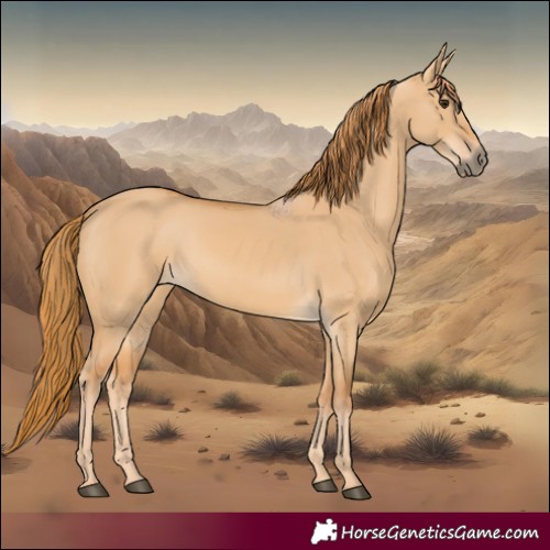 Horse Color:Red Dun 