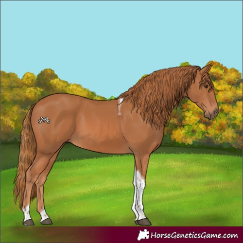 Horse Color:Chestnut Tobiano