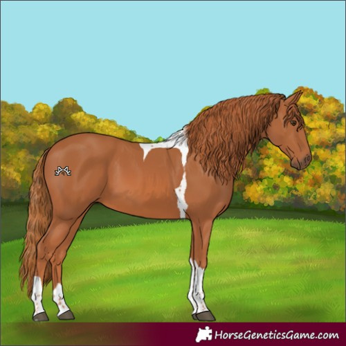 Horse Color:Chestnut Tobiano