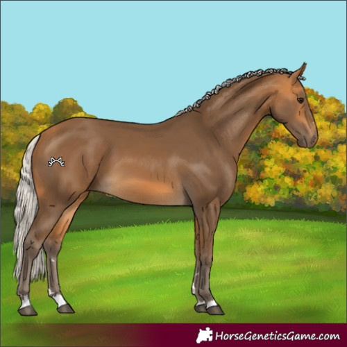 Horse Color:Silver Buckskin 