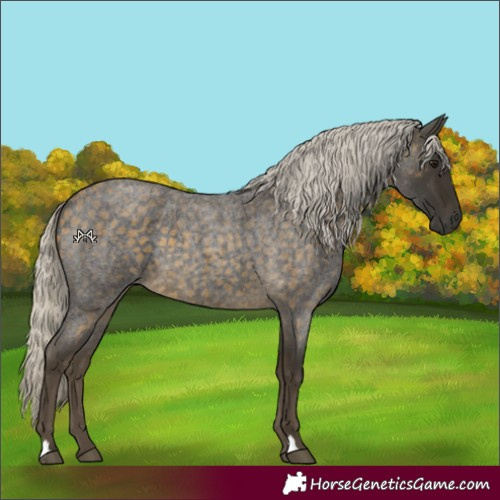 Horse Color:Silver Buckskin Roan 