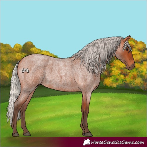 Horse Color:Silver Bay Roan