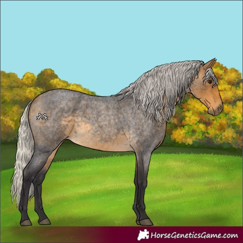 Horse Color:Silver Buckskin Roan 