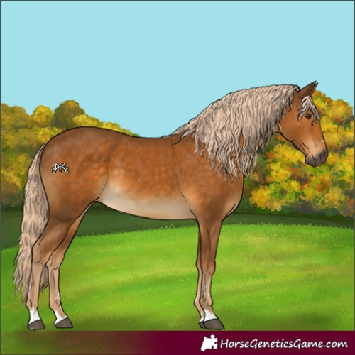 Horse Color:Gray Palomino 