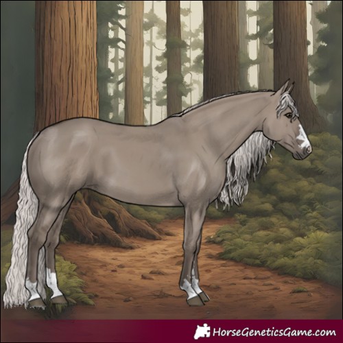 Horse Color:Silver Grullo 