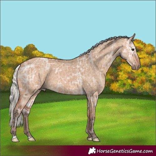 Horse Color:Silver Bay Ice Dun 