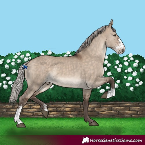 Horse Color:Silver Brown Dun Sabino 