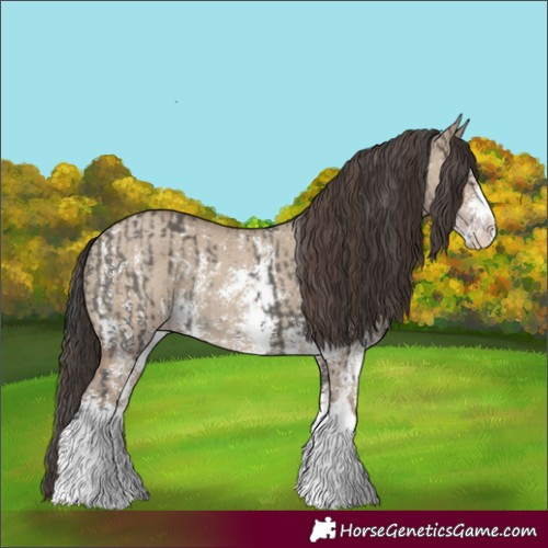 Horse Color:Grullo Sabino Splash  and Classic Champagne Dun Sabino Splash 