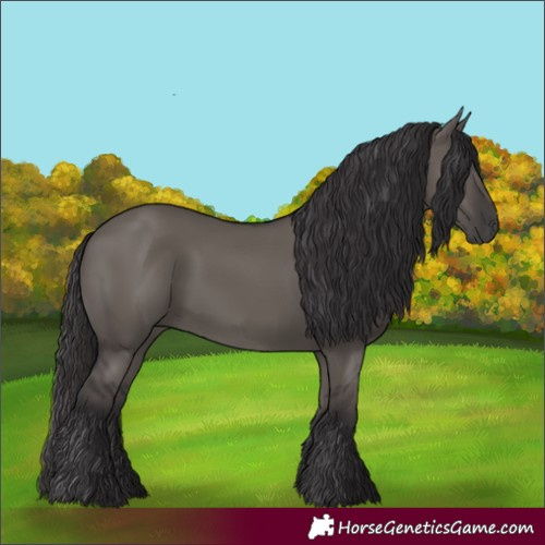 Horse Color:Smoky Grullo
