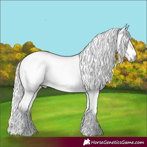 Horse Color:White Spotted Liver Red Dun Chinchilla Roan 