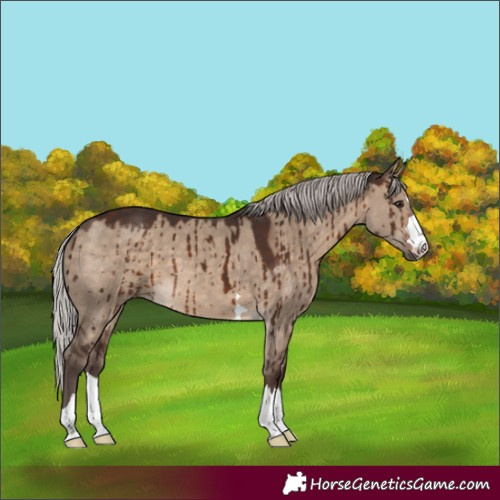 Horse Color:Silver Brown Dun Brindle 