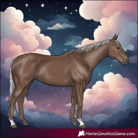 Horse Color:Silver Black